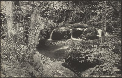 Glen Lyn, bäck och lövverk av Francis Bedford