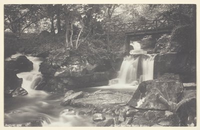 Glen Lyn, den rustika bron av Francis Bedford
