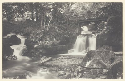 Glen Lyn, den rustika bron, 186094. av Francis Bedford