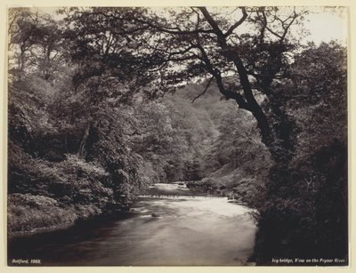 Ivy Bridge, utsikt över floden Prysor, 186094. av Francis Bedford