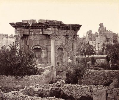 Det cirkulära templet (Venustemplet), Baalbek av Francis Bedford