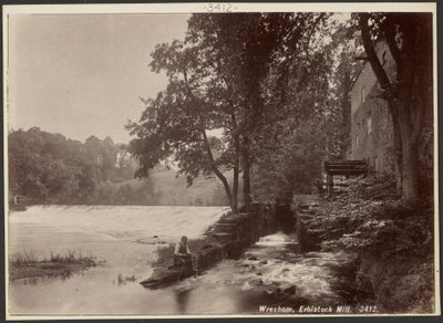 Wrexham, Erbistock Mill av Francis Bedford