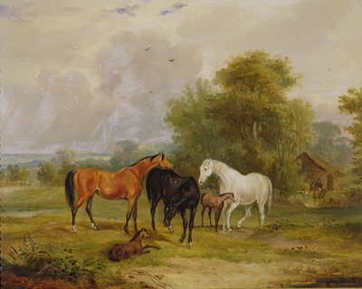 Heste, der græsser: Hopper og føl på en mark swed av Francis Calcraft Turner