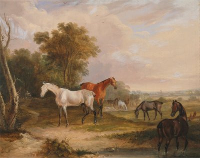 Hästar på bete: en grå hingst betar med ston på en äng av Francis Calcraft Turner