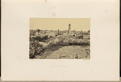 Gaza (Gamla stan) av Francis Frith