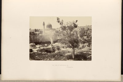 Betesdas bassäng, etc., Jerusalem av Francis Frith
