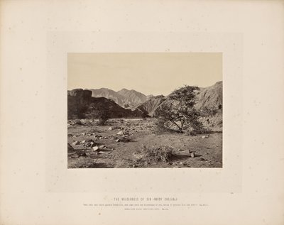Syndens vildmark (Wady Shellal) av Francis Frith