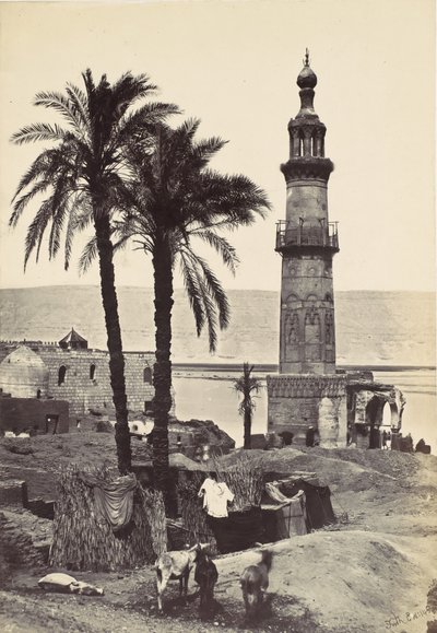 Utsikt vid Girgeh, 1857. av Francis Frith