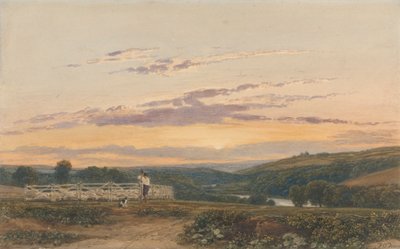 Herden - Kväll av Francis Oliver Finch