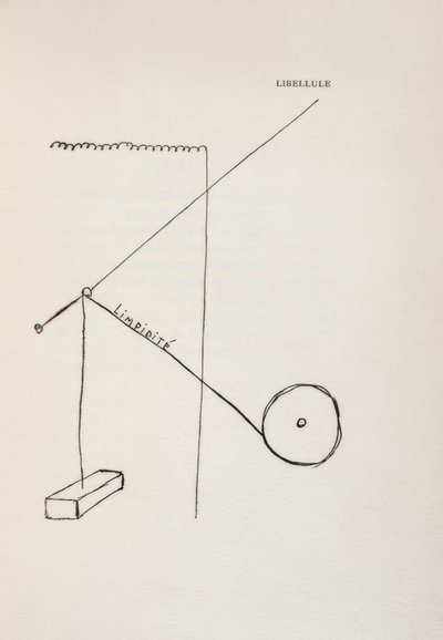 Trollslända av Francis Picabia