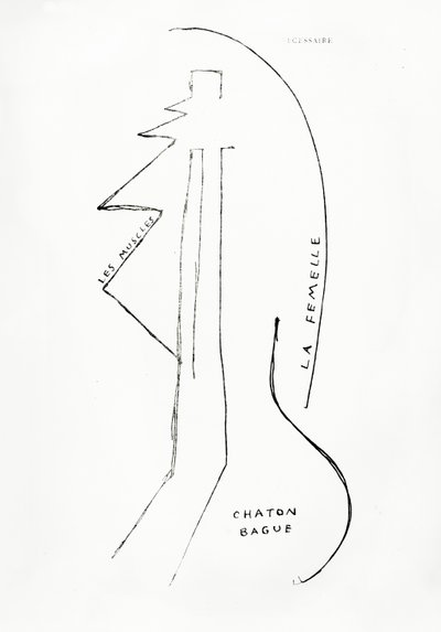 Poemes et Dessins de la Fille nee sans Mere, nr 23, utgiven av Imprimeries Reunies, Lausanne av Francis Picabia