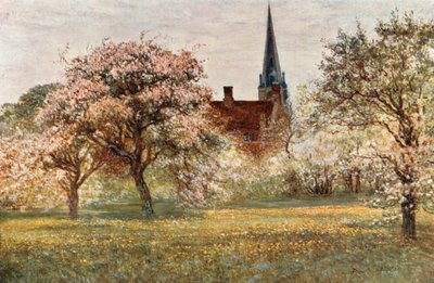 Olney av Francis S. Walker