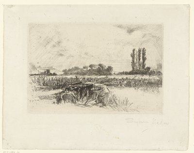 översvämningsslätten En vattenäng av Francis Seymour Haden (Sir) (signed by artist)