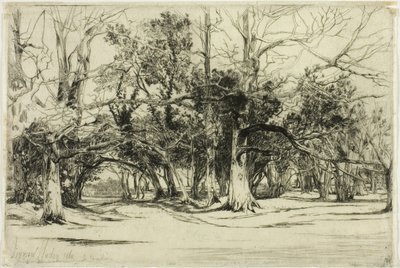En på väg i Tipperary av Francis Seymour Haden