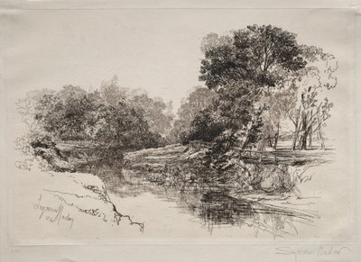 En flod i Irland, 1864. av Francis Seymour Haden