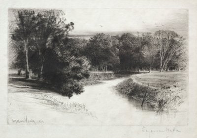 En solnedgång i Irland av Francis Seymour Haden