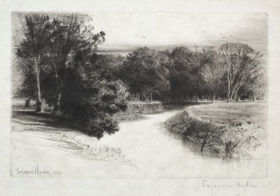 En solnedgång i Irland, 1863. av Francis Seymour Haden
