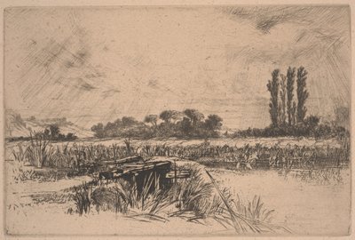A Water Meadow (etsning och torrnål) av Francis Seymour Haden