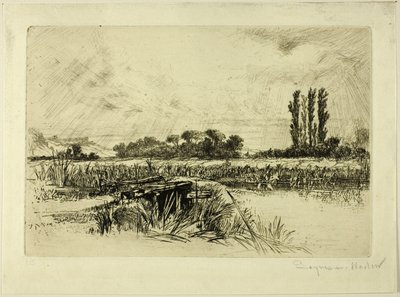 En vattenäng av Francis Seymour Haden