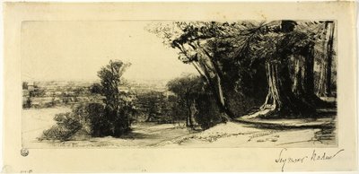 Tidig morgon, Richmond Park av Francis Seymour Haden