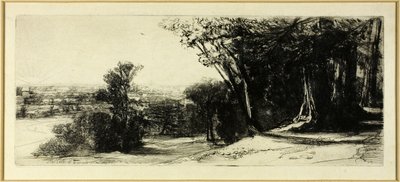 Tidig morgon, Richmond Park av Francis Seymour Haden