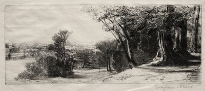 Tidig morgon, Richmond Park. av Francis Seymour Haden