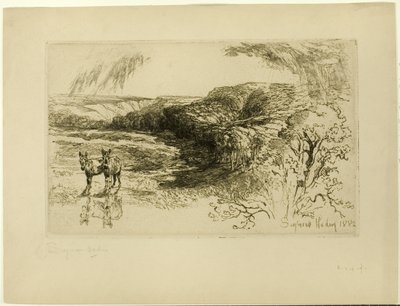 Encombe Woods, nr II av Francis Seymour Haden
