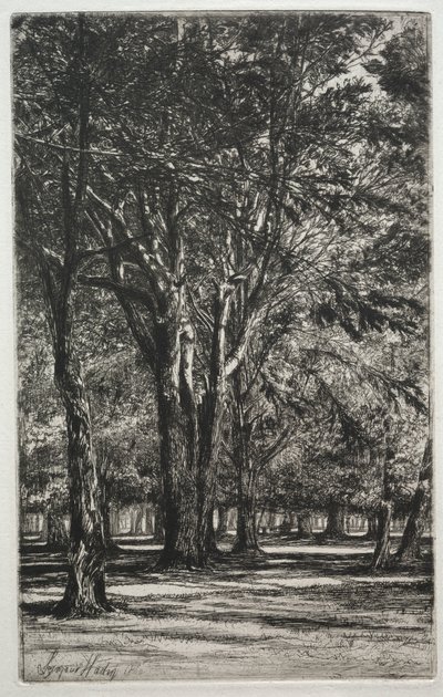 Kensington Gardens (den stora plattan) av Francis Seymour Haden