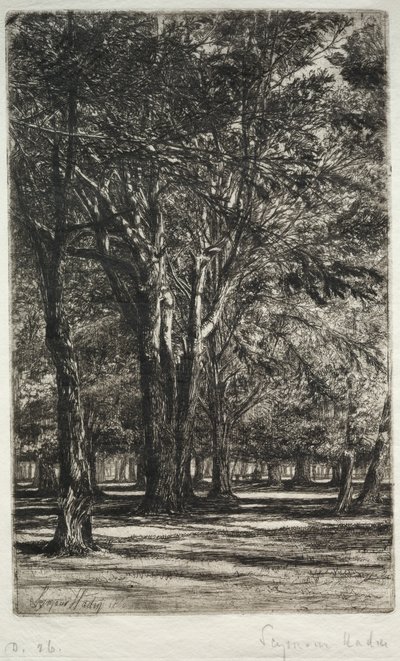 Kensington Gardens (The Larger Plate) av Francis Seymour Haden