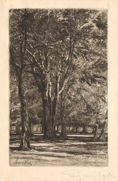 Kensington Gardens, nr 2 (stor tallrik) av Francis Seymour Haden