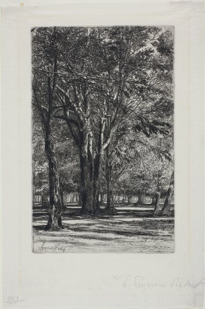 Kensington Gardens, nr II (stor tallrik) av Francis Seymour Haden