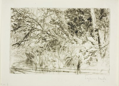 Mun av en bäck, nr II av Francis Seymour Haden