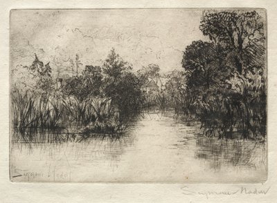 Shere Mill Pond En liten studie. av Francis Seymour Haden