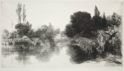 Shere Mill Pond, nr 11 (den stora plattan) av Francis Seymour Haden