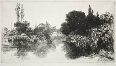 Shere Mill Pond, nr 11 The Large Plate, 1860 och senare. av Francis Seymour Haden