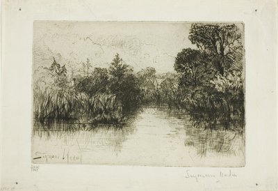 Shere Mill Pond, nr. I (liten tallrik) av Francis Seymour Haden