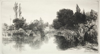 Shere Mill Pond The Larger Plate, 1860. av Francis Seymour Haden