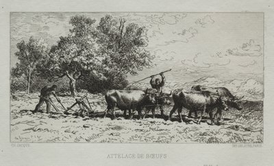 Team av Oxen av Francis Seymour Haden