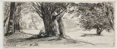 Järnekfältet av Francis Seymour Haden