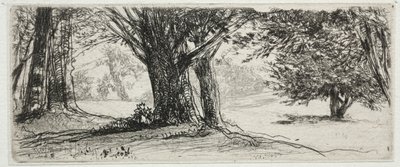 Järnekfältet. av Francis Seymour Haden