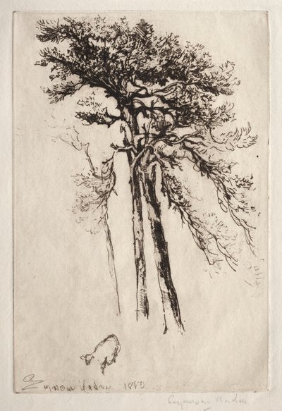 Det senaste trädet av Francis Seymour Haden