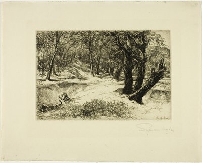 De tre systrarna av Francis Seymour Haden