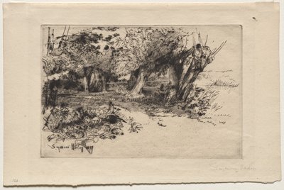 Willows av Francis Seymour Haden