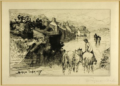 swedish av Francis Seymour Haden