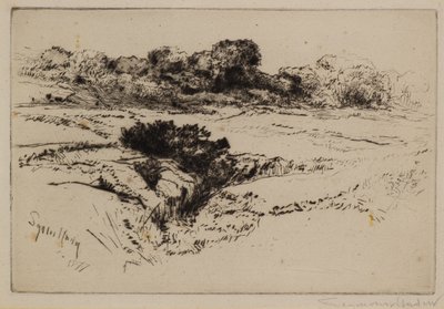 Windmill Hill No.2 av Francis Seymour Haden