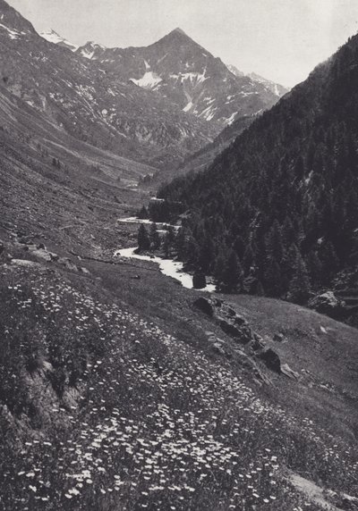 Östra Alperna: In the Windach Tal (s/v foto) av Francis Sydney Smythe