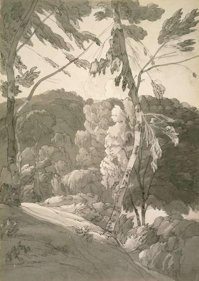 No.1091 A Wooded Landscape (A Scene at Indinowle) 1783 (penna, penna och bläck med tvätt på papper) av Francis Towne