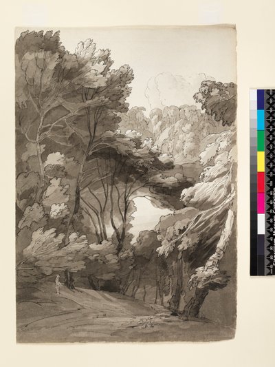 No.1093 A Wooded Landscape, 1788 (bläck & tvätt på papper) av Francis Towne