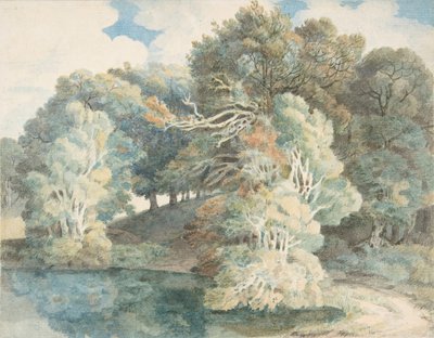 Träd vid sjön, Peamore Park, nära Exeter, Devon, 1790-1810. av Francis Towne