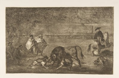 Plåt C: Hundarna släpper loss på tjuren., ca. 1816. av Francisco de Goya